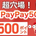 え、コレ毎日参加できていいヤツなの？？【PayPay】