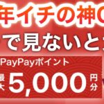 コレやらないと絶対後悔する…【PayPay大量‼︎】