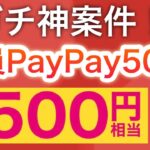 〇〇で全員にPayPay500p貰える神キャンペーンがスタート‼︎