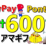 アマギフやPonta、PayPayポイントが簡単に600円以上獲得可能！お得案件で収入確保