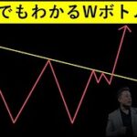 今Wボトムで暴騰しやすい仮想通貨はこれ【チャートパターン編①】