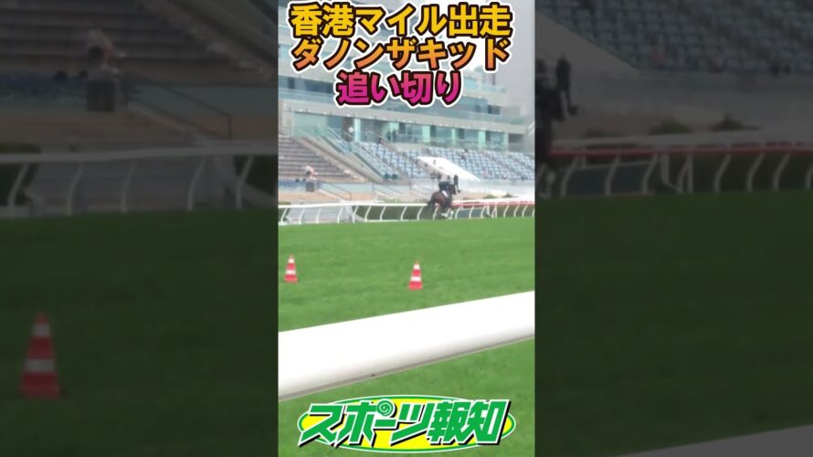 【#香港マイル 】#ダノンザキッド 追い切り【#香港国際競走 】#shorts