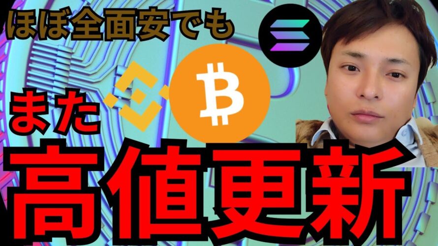 仮想通貨ほぼ全面安。でも『高値更新したコイン』２つ紹介します