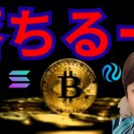 仮想通貨、落ちるー！ ココまで？