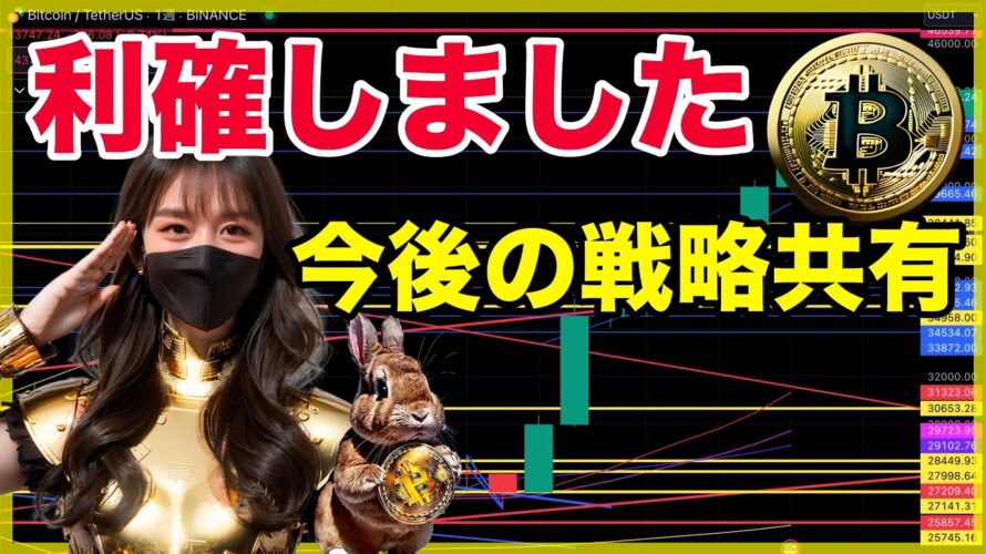 ビットコインとアルトコインの利確理由と今後の戦略