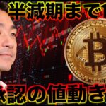 ビットコイン半減期まで100日！ETF承認後の値動きに注意！