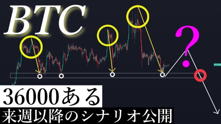 1/21 「⚠️警戒」売り圧力が強くなってきている理由と明日以降のシナリオ公開/ビットコイン分析