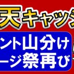 楽天ペイユーザー必見！楽天キャッシュ購入、楽天ポイント山分けキャンペーンでお得にチャージ♪(1/22～2/4)