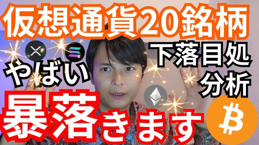 【仮想通貨20コイン分析】ヤバイ暴落が来ます。下落目処を解説します