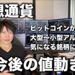 暴落予想が的中した仮想通貨の今後の値動きを億り人が解説します。ビットコインからアルト全般、気になる2024年に上がると思うコインについても。