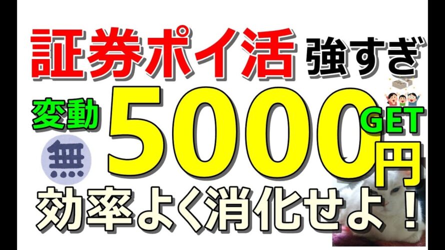 証券会社のポイ活は今年も強い！これで5000円はやります！