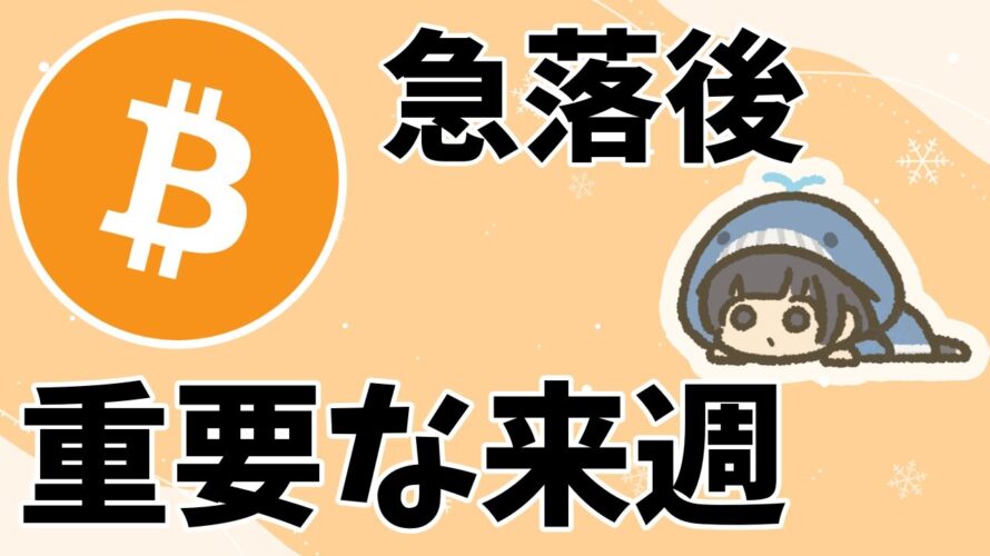 ビットコイン/BTC 急落から環境変化🐋重要な来週の動きに注目🚀