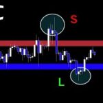 今のビットコインの適切な対処法【BTC】