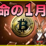 【BTC ETH SOL TRB分析と戦略 】ETF承認から予想される値動きとは？