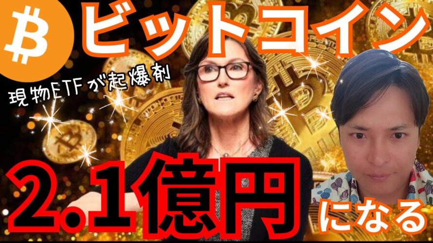 ビットコイン(BTC)価格が2030年２億円？可能か考察した