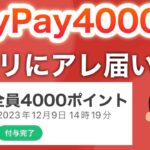 あの爆益キャンペーンが復活‼︎【PayPay大量】