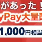 突如PayPayキャンペーンが大量追加‼︎