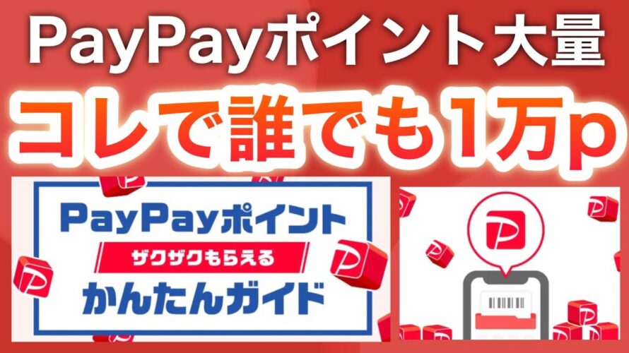 PayPay公式がとんでもないキャンペーンが発表した件…