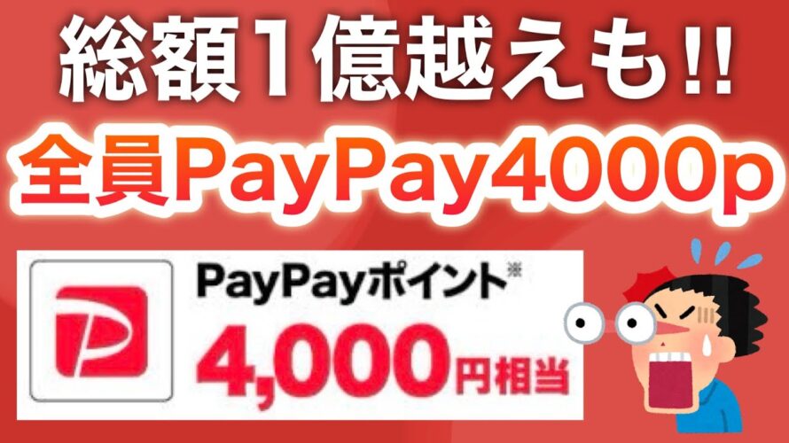 これは流石にやりすぎでしょ…【PayPay4000p】