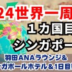 ２０２４世界一周！１カ国目はシンガポールへ