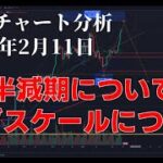 2024年2月11日ビットコイン相場分析