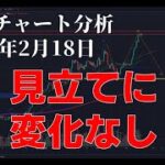 2024年2月18日ビットコイン相場分析