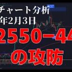 2024年2月3日ビットコイン相場分析