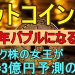 【ビットコインバブルが2025年に再来する理由】1BTC=3億円ハイテク株の女王予測の真相【仮想通貨、投資分析】