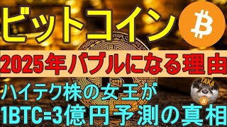 【ビットコインバブルが2025年に再来する理由】1BTC=3億円ハイテク株の女王予測の真相【仮想通貨、投資分析】