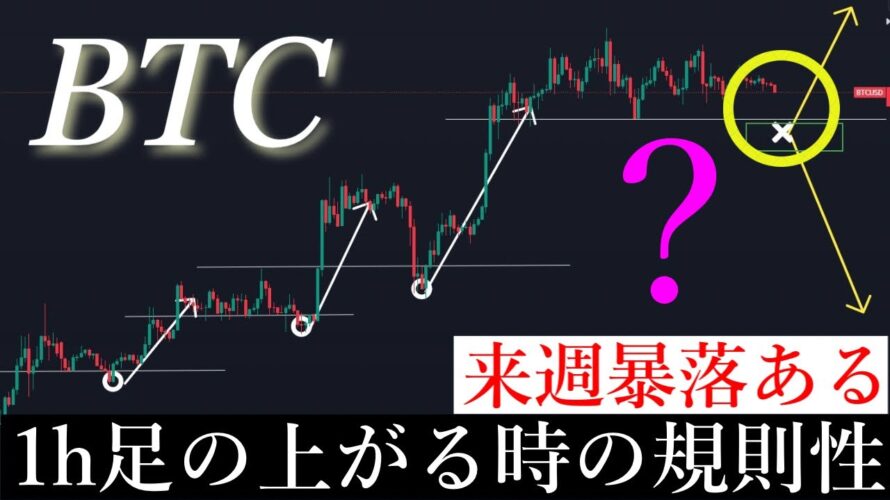 2/17「⚠️来週暴落?!」今のBTCは1h足の規則で上昇しています/ビットコイン分析