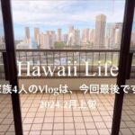 ハワイ生活。家族4人のVlogは今回が最後になります。2024.2月 /ハワイ/ ホノルル #hawaii #honolulu #ハワイ