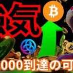 ビットコイン 強気シグナル複数、6万ドル(880万円)の可能性。２年ぶり高値の仮想通貨も