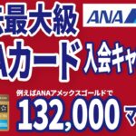 ANAカード入会で絶対に逃せないお得な情報！ANA主催キャンペーン開始！