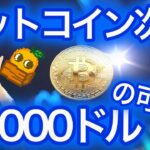 【ビットコイン初心者必見シリーズ】これを知れば価格予想できる BTC ETH XRP SOL NFTまり