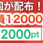 これ貰わないのは損すぎるでしょ…【PayPay】