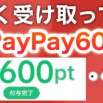 まだコレ貰ってない人急げ‼︎【PayPay】