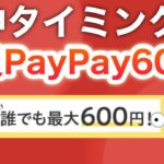 コレ今やらないと貰えないよ…【PayPay全員】