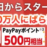 実は皆んなコレ貰ってるんだよ…【PayPay/25億ポイント】