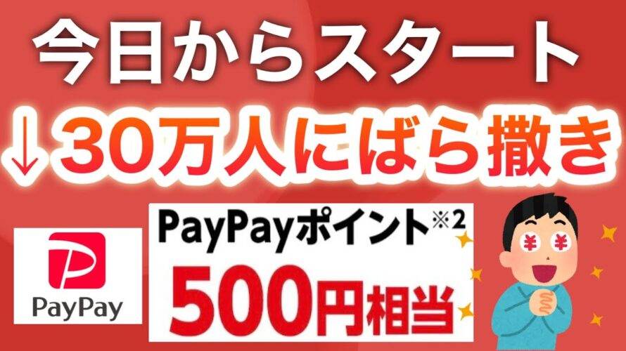 実は皆んなコレ貰ってるんだよ…【PayPay/25億ポイント】