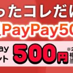 コレ貰わなくて大丈夫？？【PayPay500p】