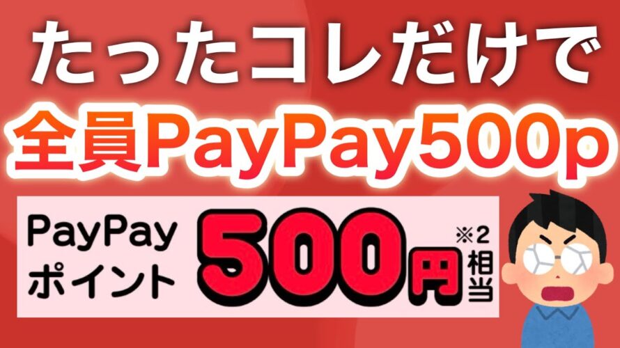 コレ貰わなくて大丈夫？？【PayPay500p】