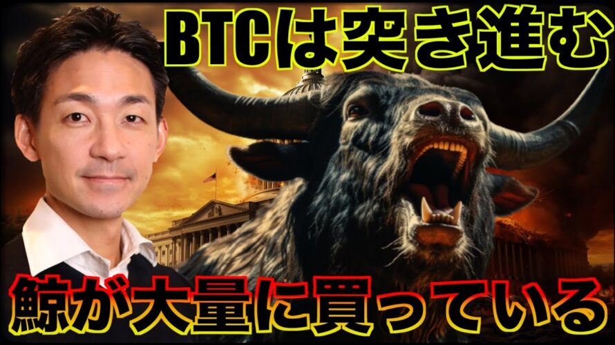 ビットコインを鯨が買い漁る!イーサリアムの大きなリスク。