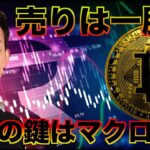 ビットコインの売りは一服！今後の鍵はマクロ経済！