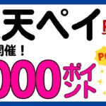 【楽天ペイ】楽天キャッシュ・楽天ポイント払いで1000ポイントが当たる！