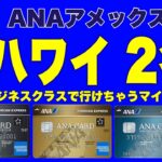 【最大17万マイル】ハワイへビジネスクラス 2名が行けるマイル相当もらえる！ANAアメックス入会キャンペーン ANAアメックスプレミアム、ANAアメックスゴールド、ANAアメックスカード