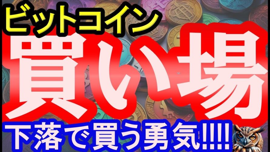 ビットコインはこれから買い場!!!!?下落相場で買う勇気を持ってください!!!!【暗号通貨チャート分析 2024/3/20】