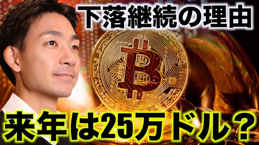 ビットコイン下落の背景。来年は25万ドルまで上昇する?