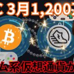 ビットコイン 3月に1,200万円到達か。ゲーム系仮想通貨の暴騰に乗るべき？