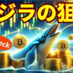 【仮想通貨 ビットコイン】Bitcoinの保有量急増中！クジラたちが見据える価格の頂点はココ！（朝活配信1410日目 毎日相場をチェックするだけで勝率アップ）【暗号資産 Crypto】