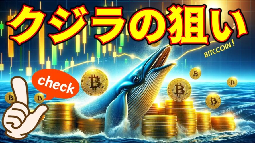 【仮想通貨 ビットコイン】Bitcoinの保有量急増中!クジラたちが見据える価格の頂点はココ!(朝活配信1410日目 毎日相場をチェックするだけで勝率アップ)【暗号資産 Crypto】